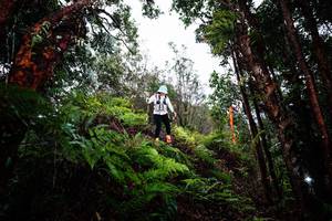 BIB: 
                            <button type="button" onclick="openModal(26205003)" class="btn btn-primary btn-sm float-right btn-popup" data-toggle="modal" data-target=".modal-high-quality">
                        <i class="fas fa-shopping-cart"></i> Add to Cart
                    </button>
                                            <button type="button" onclick="isThisMe(26205003, true)" class="btn btn-success btn-sm float-right btn-popup btn-isme hidden" data-toggle="tooltip" data-placement="bottom" title="นี่คือรูปของคุณใช่ไหม คลิกที่นี่เพื่อเอาเข้าอัลบั้ม">
                        <i class="fas fa-plus"></i> Add to album
                    </button>
                    <button type="button" onclick="isThisMe(26205003, false)" class="btn btn-warning btn-sm float-right btn-popup btn-isnotme hidden">
                        <i class="fas fa-ban"></i> Remove from album
                    </button>